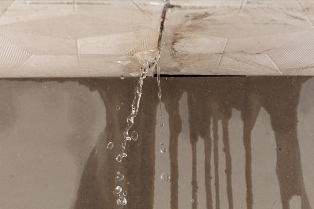 Professional Structural Drying technician working in Shafer, MN